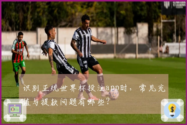 识别正规世界杯投注app时，常见充值与提款问题有哪些？