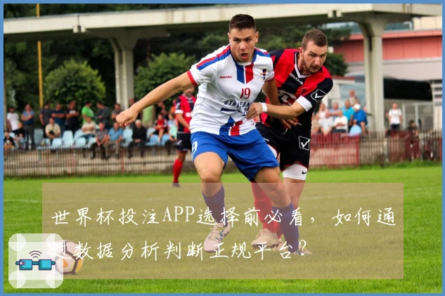世界杯投注APP选择前必看，如何通过数据分析判断正规平台？