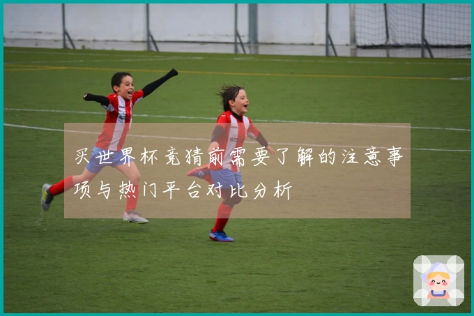 买世界杯竞猜前需要了解的注意事项与热门平台对比分析