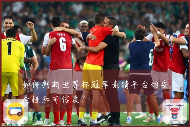 如何判断世界杯冠军竞猜平台的安全性和可信度？