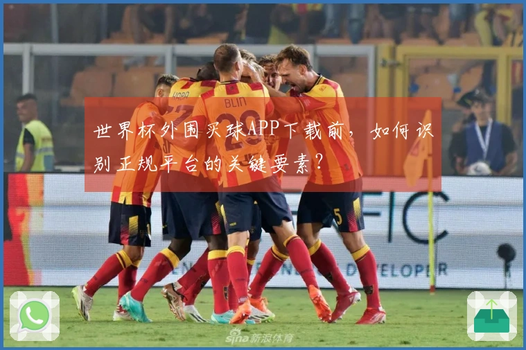 世界杯外围买球APP下载前，如何识别正规平台的关键要素？