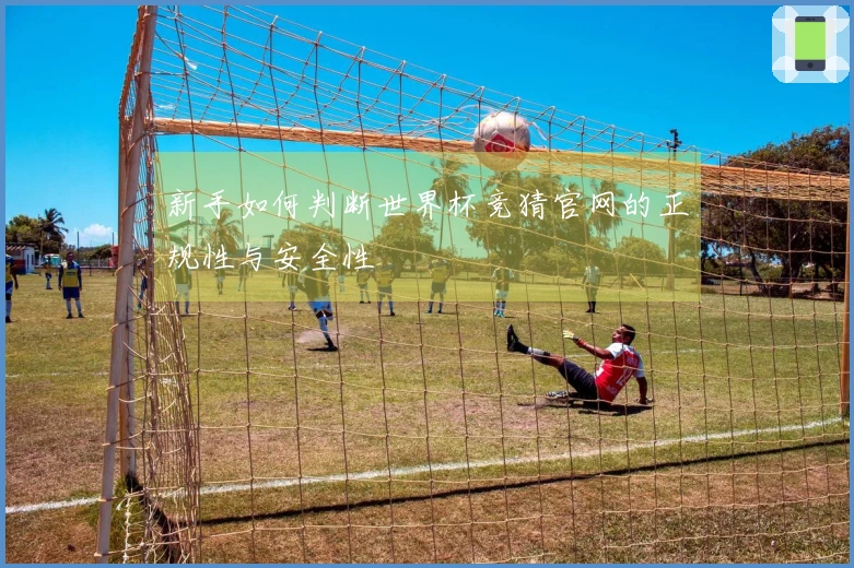 新手如何判断世界杯竞猜官网的正规性与安全性