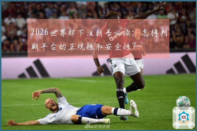 2026世界杯下注新手必读：怎样判断平台的正规性和安全性？