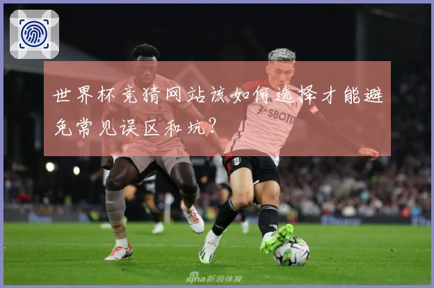 世界杯竞猜网站该如何选择才能避免常见误区和坑？