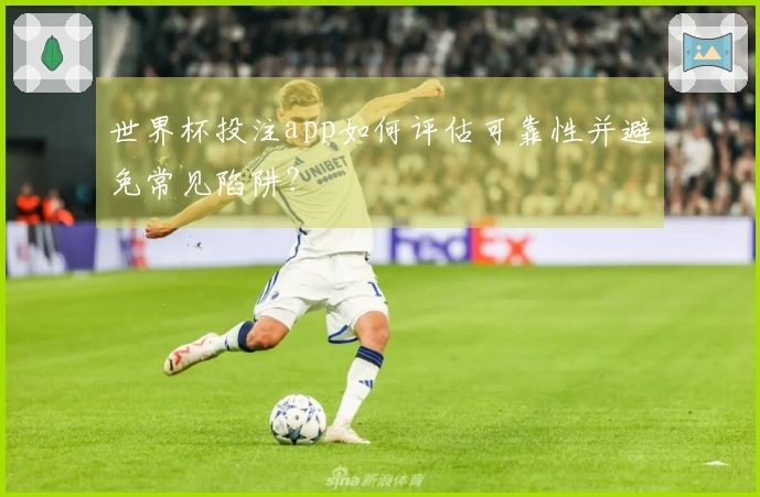 世界杯投注app如何评估可靠性并避免常见陷阱？