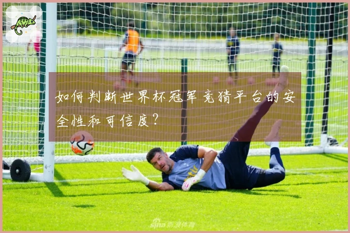 如何判断世界杯冠军竞猜平台的安全性和可信度？