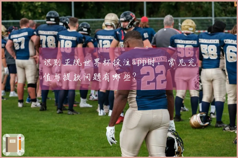 识别正规世界杯投注app时,常见充值与提款问题有哪些?