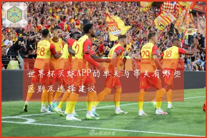 世界杯买球APP的单关与串关有哪些区别及选择建议
