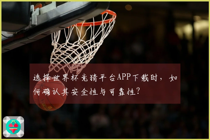 选择世界杯竞猜平台APP下载时，如何确认其安全性与可靠性？