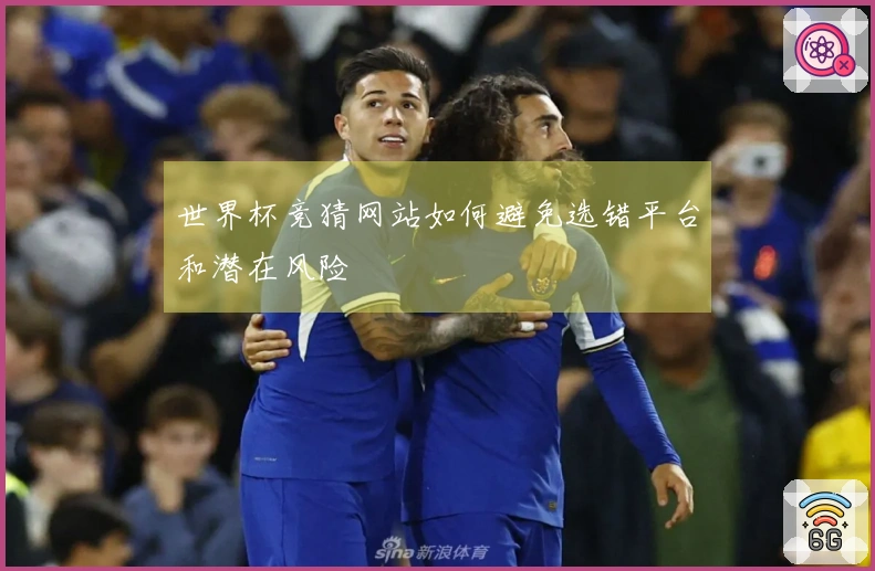世界杯竞猜网站如何避免选错平台和潜在风险