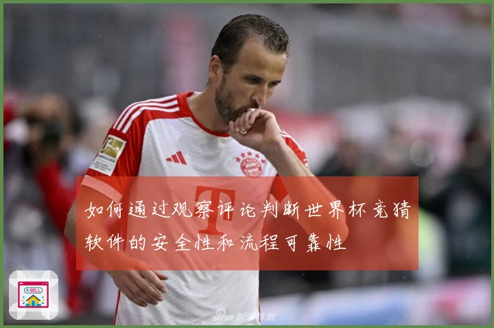 如何通过观察评论判断世界杯竞猜软件的安全性和流程可靠性
