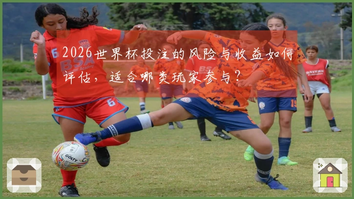 2026世界杯投注的风险与收益如何评估，适合哪类玩家参与？
