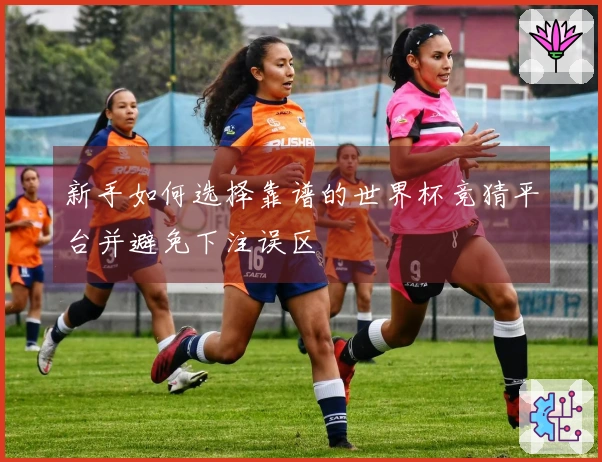新手如何选择靠谱的世界杯竞猜平台并避免下注误区
