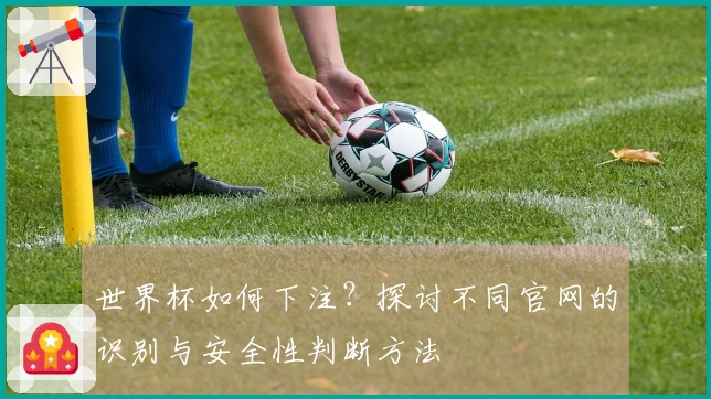 世界杯如何下注？探讨不同官网的识别与安全性判断方法