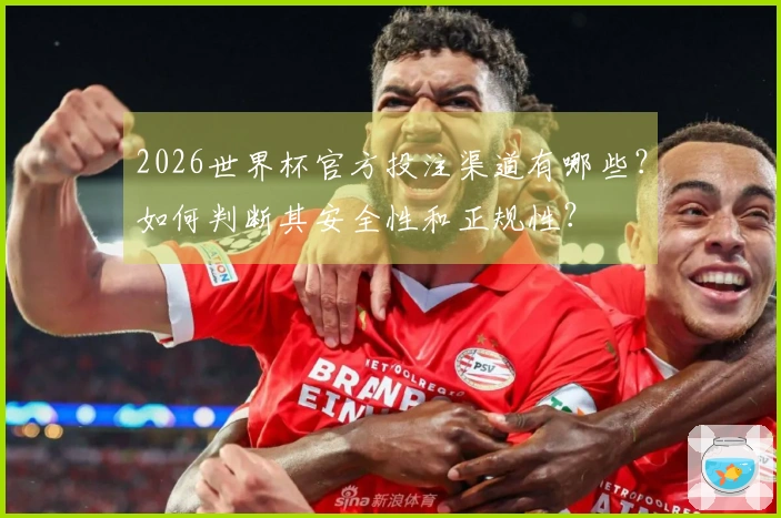2026世界杯官方投注渠道有哪些？如何判断其安全性和正规性？
