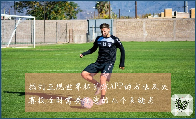 找到正规世界杯买球APP的方法及决赛投注时需要注意的几个关键点