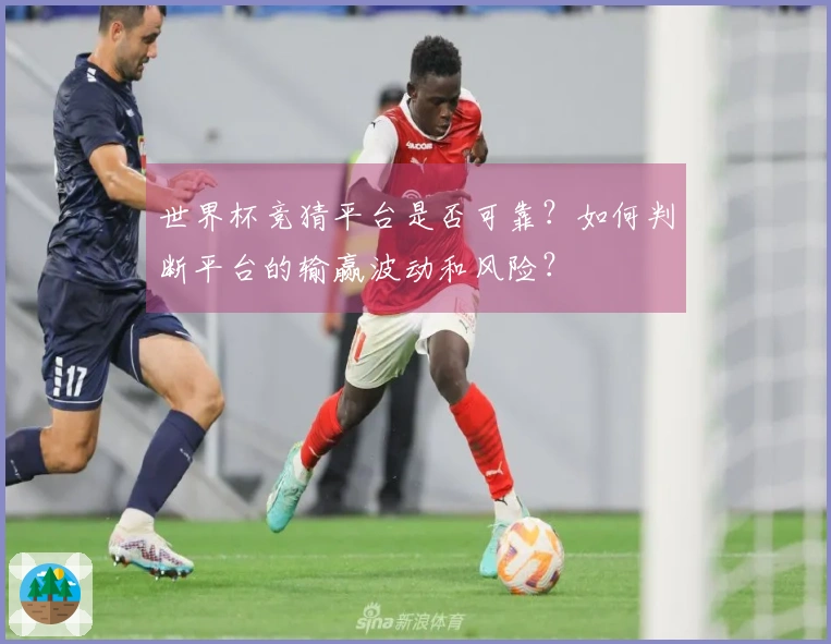 世界杯竞猜平台是否可靠？如何判断平台的输赢波动和风险？
