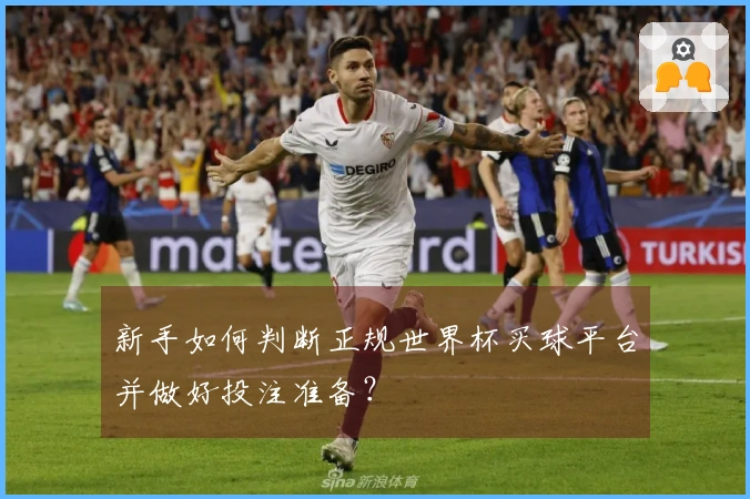 新手如何判断正规世界杯买球平台并做好投注准备？