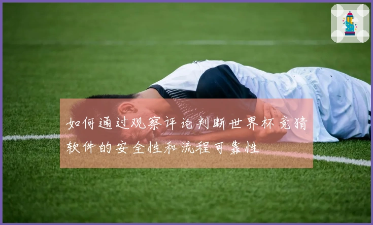 如何通过观察评论判断世界杯竞猜软件的安全性和流程可靠性