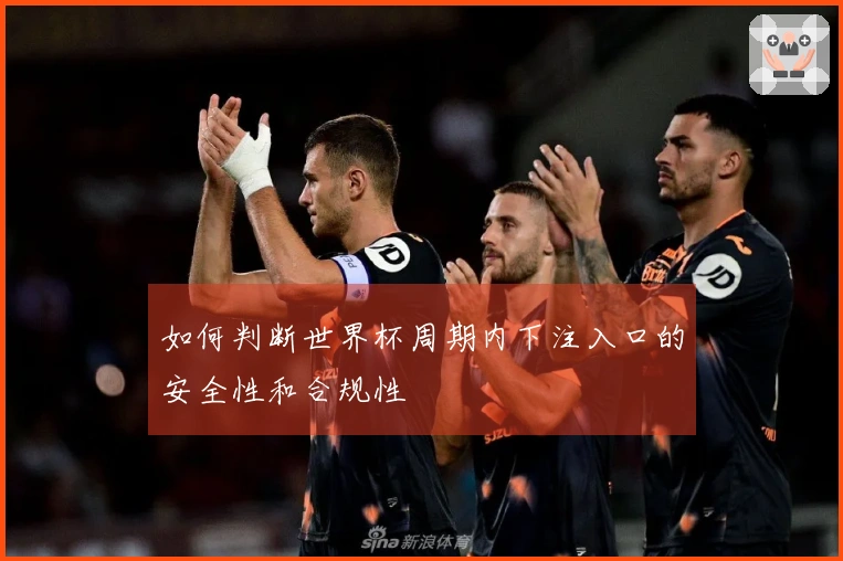 如何判断世界杯周期内下注入口的安全性和合规性